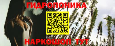 прущие крисы Сланцы